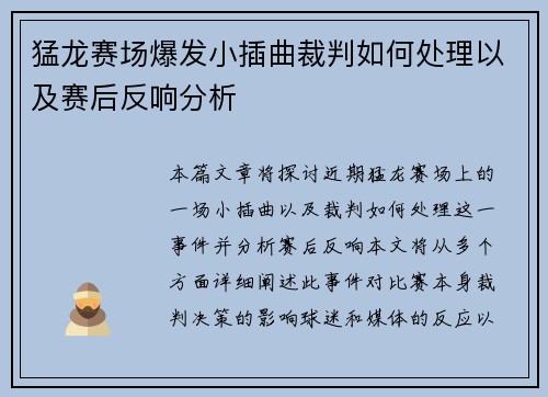 猛龙赛场爆发小插曲裁判如何处理以及赛后反响分析